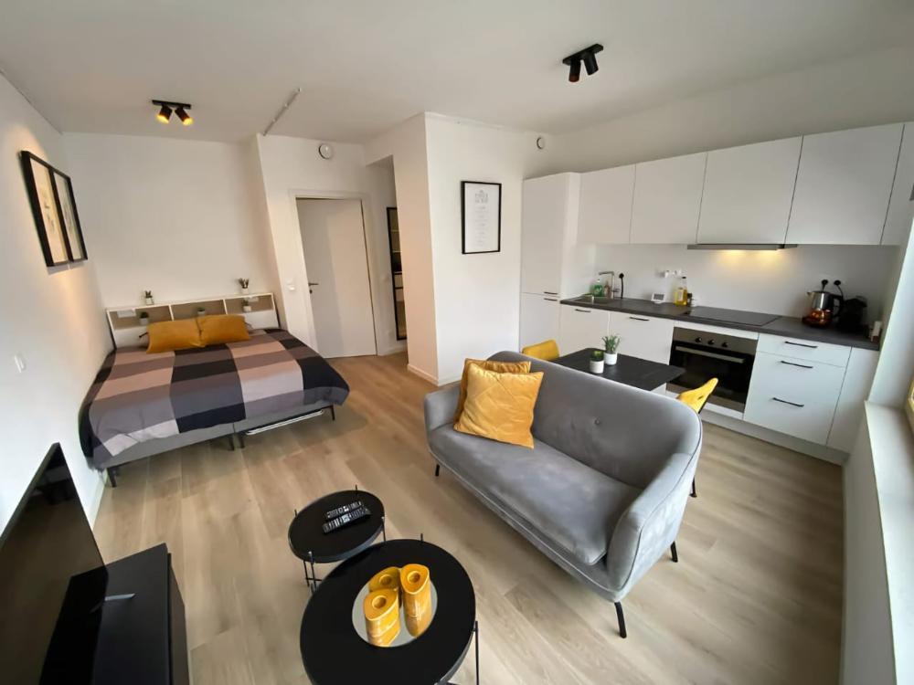 Situé à Annemasse, ce charmant studio meublé de 23 m²